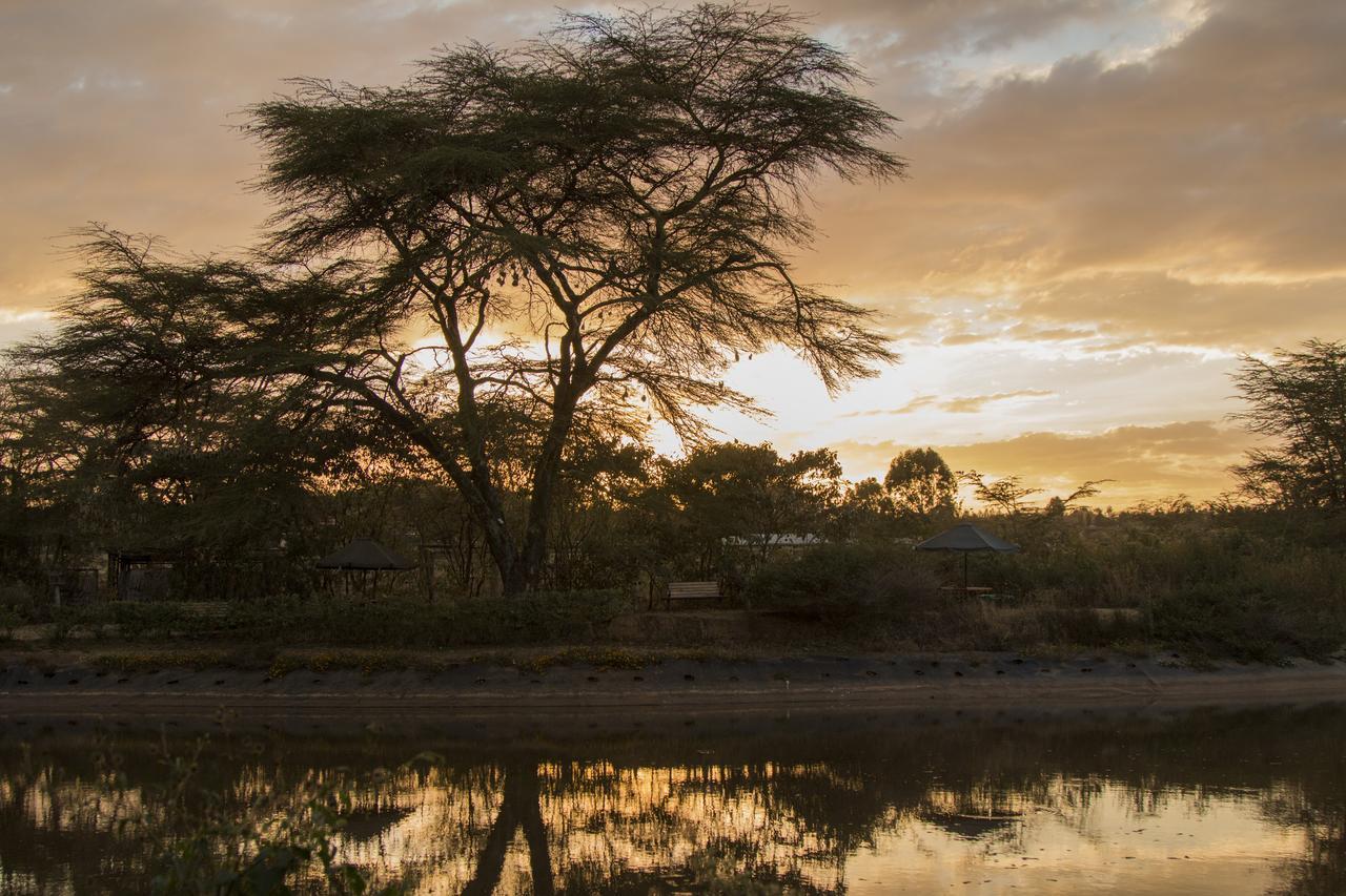 Ziwa Bush Lodge Nakuru Kültér fotó